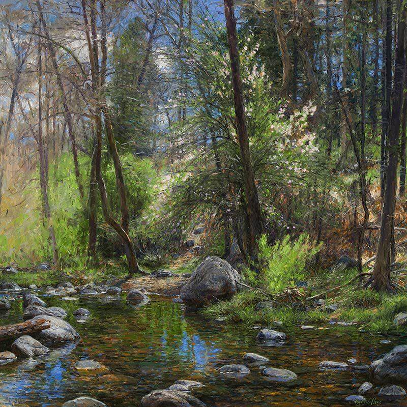 Creekside Discovery Original Oil on Canvas by Curt Walters